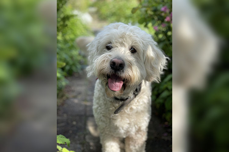 Kinder- und Jugendlichenpsychotherapie Frankfurt Jennifer Berghaus Therapeutin